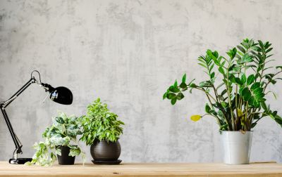 Office Wallpaper Installation in Overland Park, KS