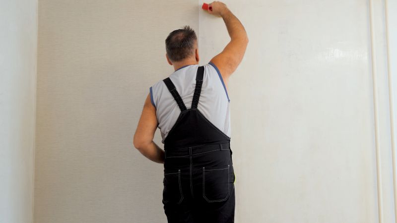 Wallpaper Repair in Denver County, CO